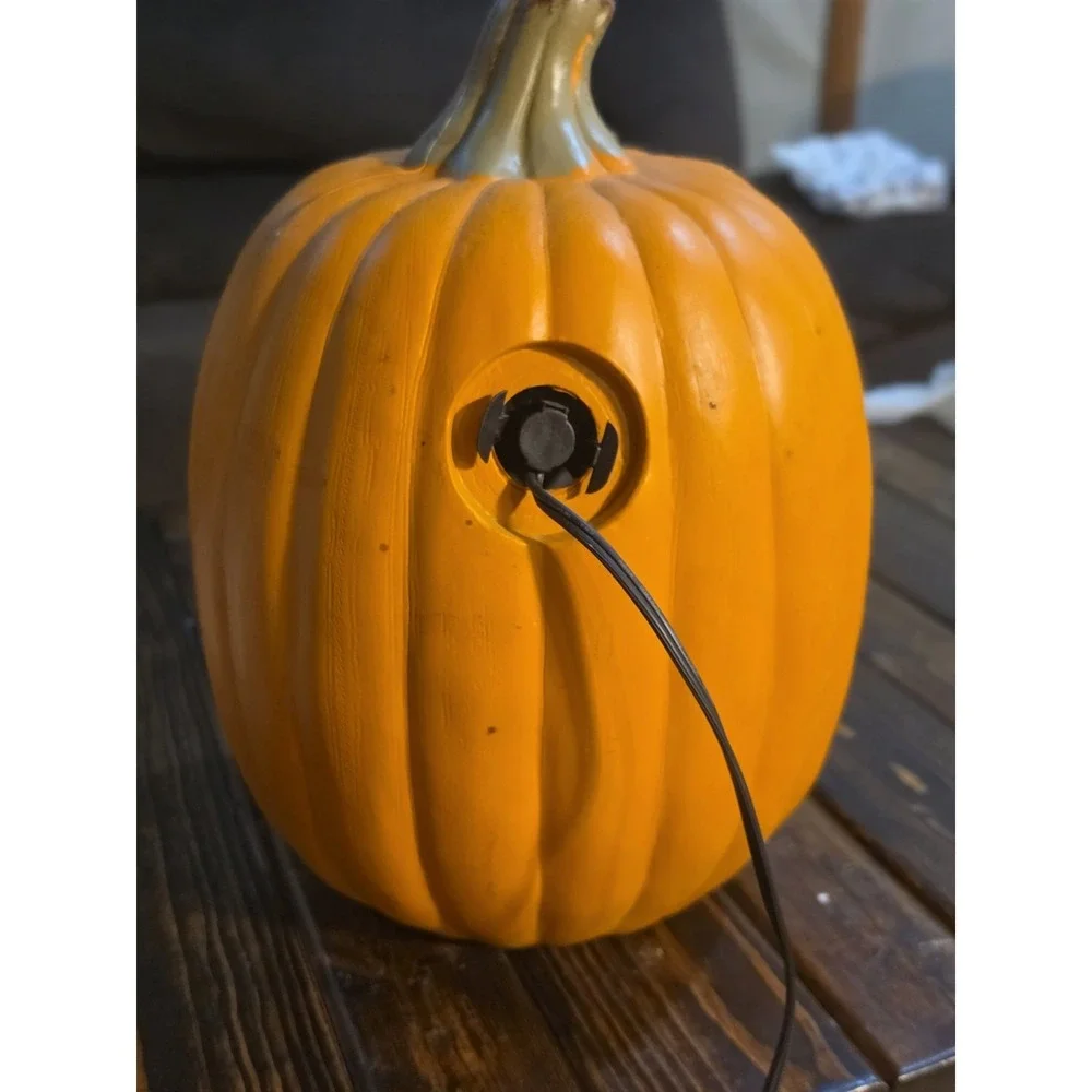 Oblong Outside Plug in Pumpkin ** Working**